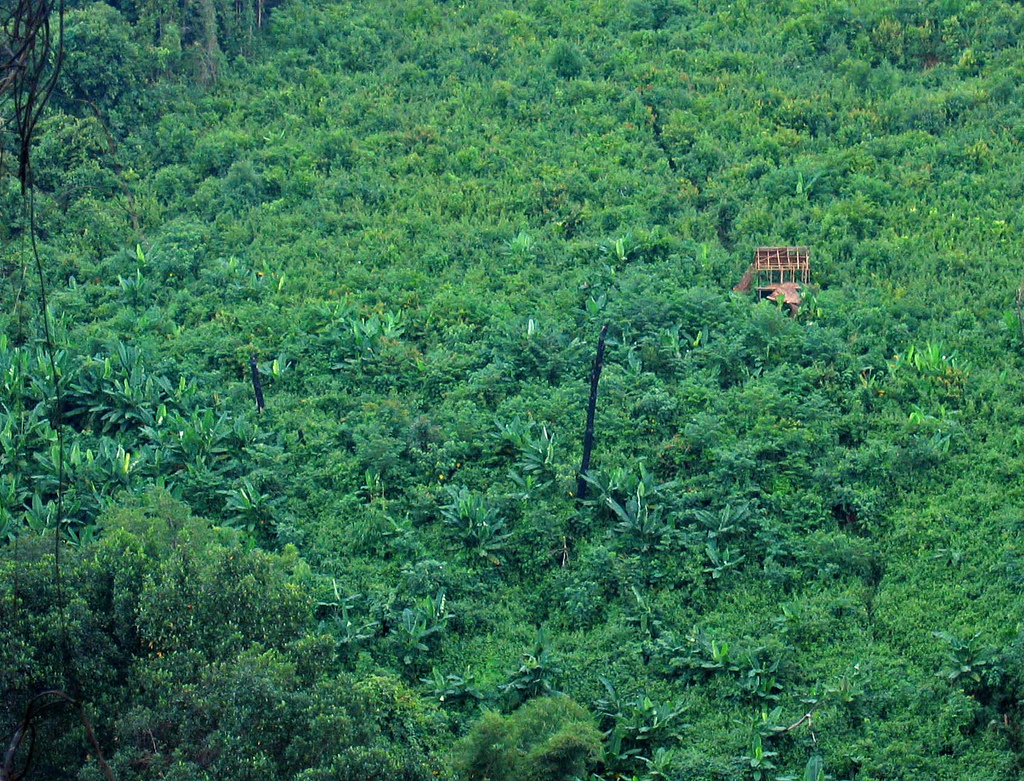 Tribal house perched on the edge of a hill.