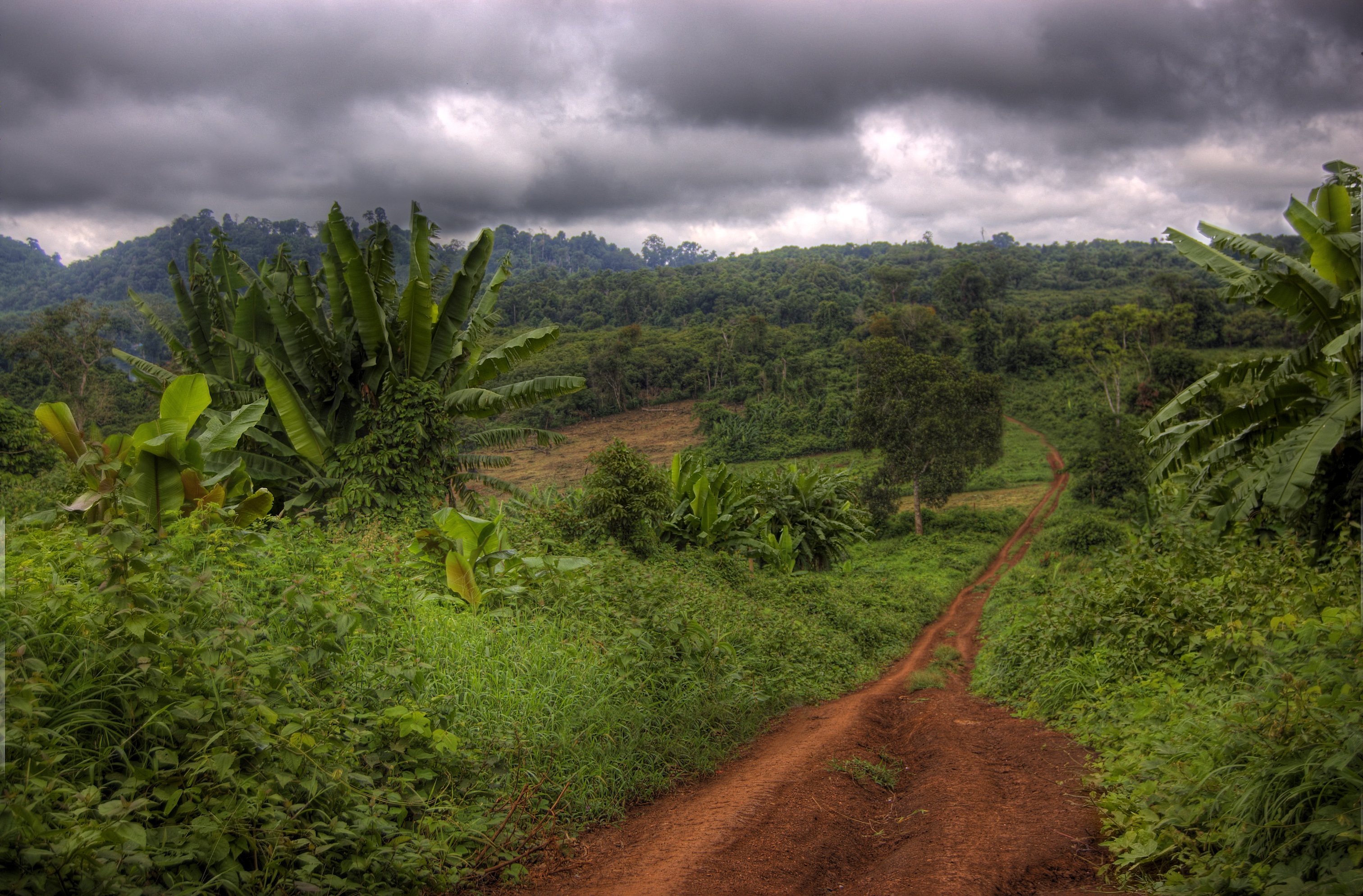 Highlands of Ratanakiri in Rainy Season