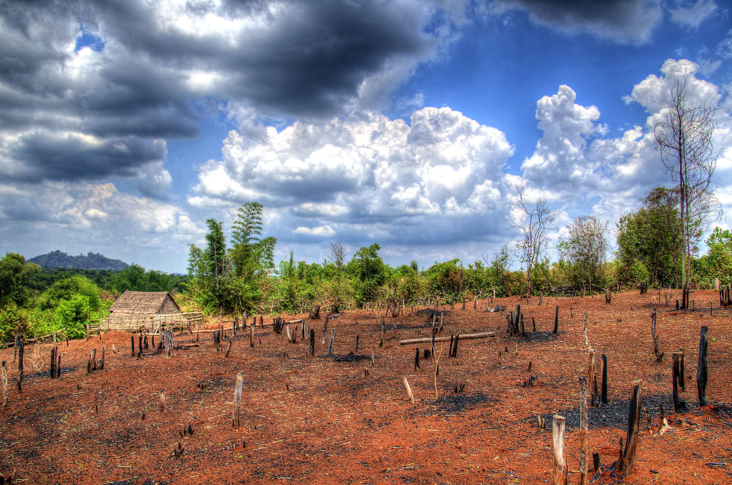 Tribal Farm in Cambodia