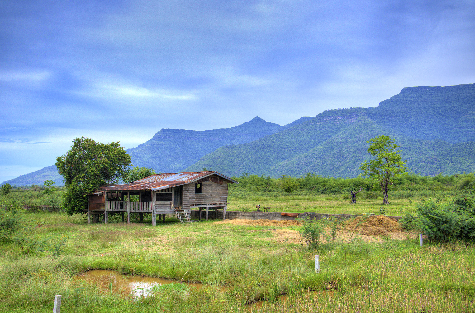 house, rice paddy, and mountains