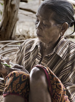 Old indigenous minority lady preparing betel nut to be chewed.