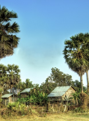 Cambodian Homestead